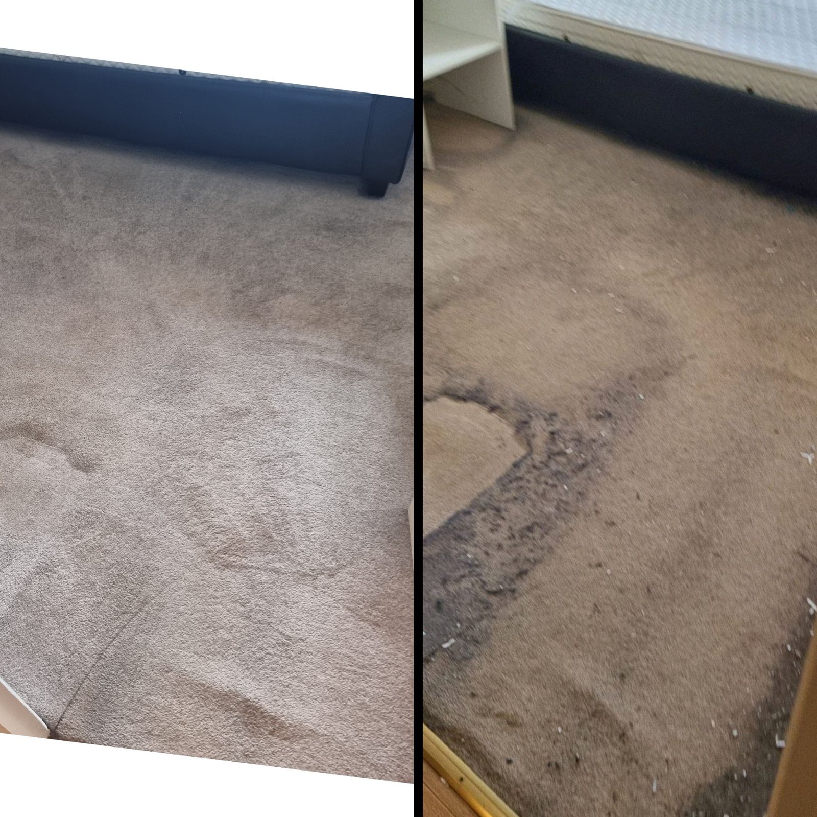 Professional House Cleaning Services London Home Care Cleaning