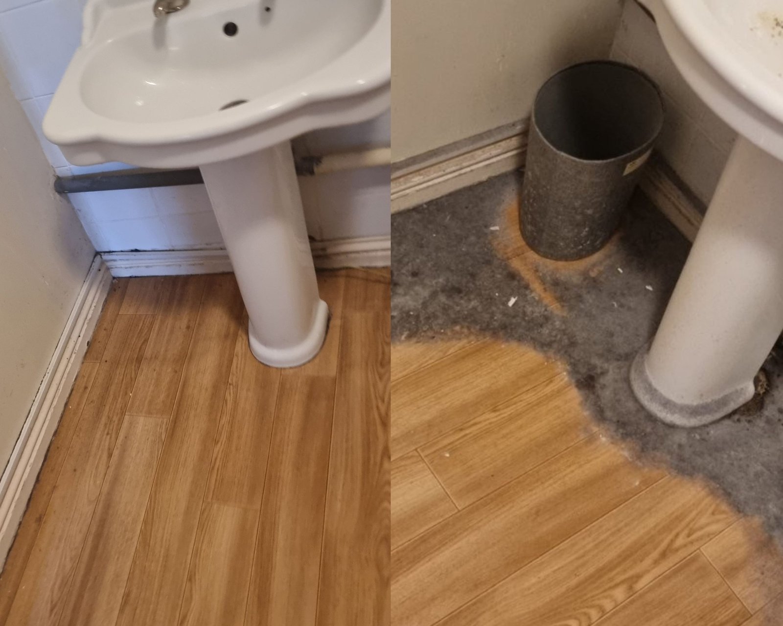 Professional House Cleaning Services London Home Care Cleaning